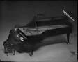 Liszt-Mephisto-Waltz
