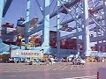 ILWU on the docks ILWU on the docks
