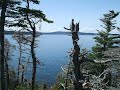 Newfoundland my backyard