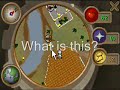 RuneScape Glitch