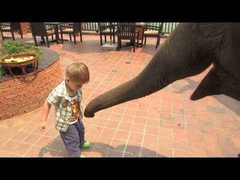 Image de prévisualisation YouTube