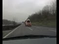 Heie auf der Fahrbahn