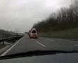 Heie auf der Fahrbahn