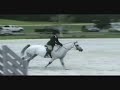 Made Large Pony for Lease or Sale