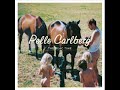 Pelle Carlberg - 1983 Pelle Carlberg - 1983