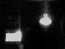 videos de vestigial and flea jam