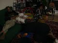 Purvi_Nishita_fight.MOV