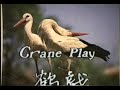 Five Animal Play Joy Qigong (Walking style) Five Animal Play Joy Qigong (Walking style)