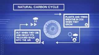 Learn more about the Carbon Cycle & how Biochar Adds a New Dimension