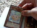 yugioh trade binder 11-21-09