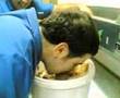 nickyspiderpork mangia nello scifo