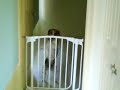 MOV00226.MP4 MOV00226.MP4