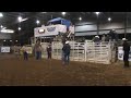 1 horned Willie at ACA pro rodeo in Searcy Arkansas12-2009.MPG