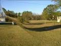 Elvis 2.wmv