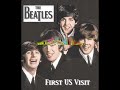 Tribute to the beatles