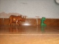 Cuca vs Rinoceronte