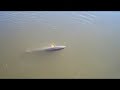 Flyfishing in a Kayak for Louisiana Redfish