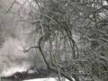 videos de I WANT TO WISH YOU THE HAPPIEST CHRISTMAS