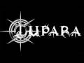 lupara-no pity on the ants