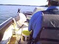 1975 Evinrude 50hp running without hydrofoil 1975 Evinrude 50hp running without hydrofoil