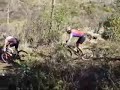 MTB AMANCAY PARQUE LOS ALERCES PTO. MONTT CHILE