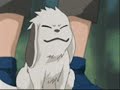 my-tribute-to-kiba-inuzuka.html