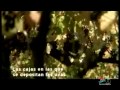 PROGRAMA DE VINOS DE NAVARRA- SOLO O ACOMPAÑADO 23 NOVIEMBRE- CANAL 6 NAVARRA