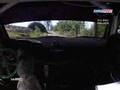 WRC 2007 Finland Jan Kopecky Meets Timber