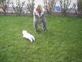 Kimi vom Sternloch im Garten