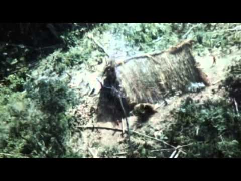 yasuni - http://polificcion.wordpress.com/2013/08/16/motivos-para-no-explotar-el-itt/ Documental de los grupos no contactados, su problemática, la verdad del Yasuní, ...
