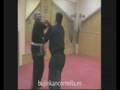 bujinkan cornella