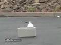 bomba kon hielo seco