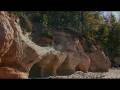 videos de Nature in Latvia