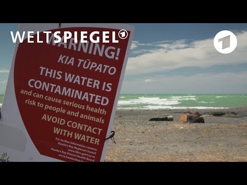 Neuseeland: Verseuchtes Trinkwasser | Weltspiegel