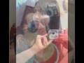 videos de Menina Muito Especial (Vivi)