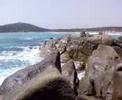 Villasimius - Sardinia - Italy