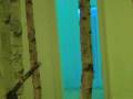 videos de exhibition 