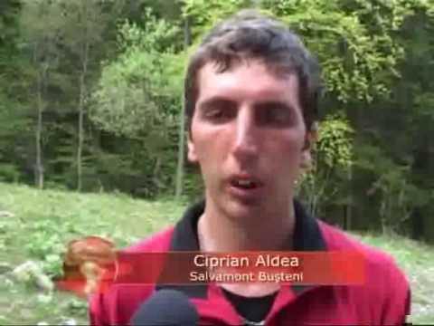 A cazut in cascada