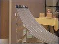 pine wood DERBY 2008