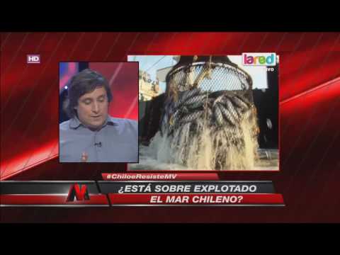 Imagen de previsualización de YouTube