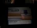 Pokemon Wi-fi Battle Fannatic VS tharealg2