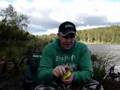 Carp Fishing Sweden - Härlanda Tjärn 13th-15th June 08