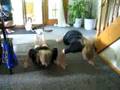Twinz doing the worm