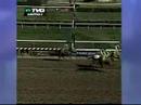 breeders-cup-filly-mare-sprint-preview-.html