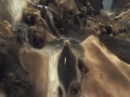Trailers de juegos 2011/9(nuevos juegos)