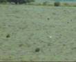 videos de Extra 330 V.1