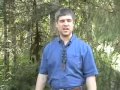 Virtues of a Neck Knife - Part One