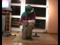 how to triple flip deutsch/german FMT