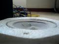 Bass test