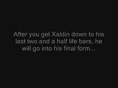 how to beat xaldin